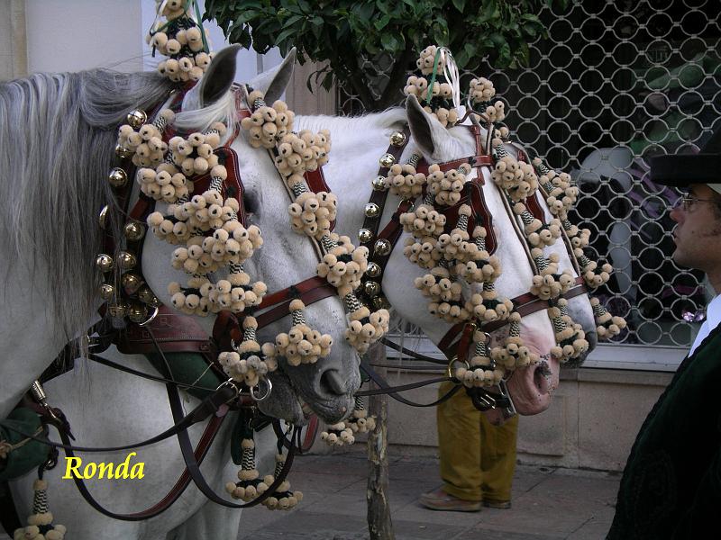 Andalusie 2008 181.jpg